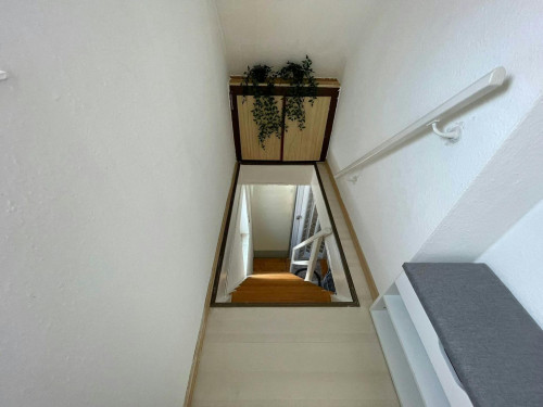 Badener Straße, Rüsselsheim - Gallery - 8