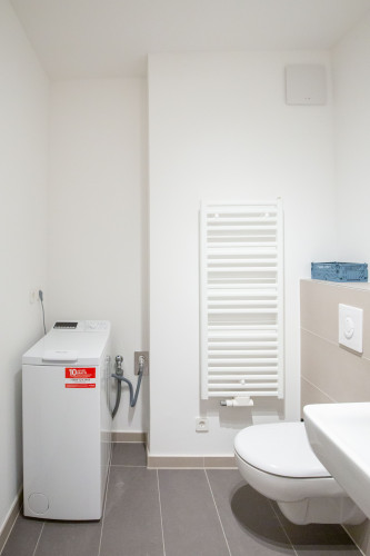 Spacious and bright fully-furnished apartment