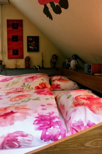 Fashionable loft in Altenau/ Harz