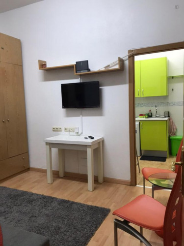 Homely studio in Lavapiés-Embajadores