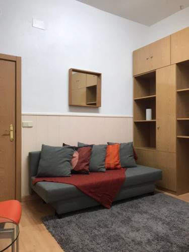 Homely studio in Lavapiés-Embajadores