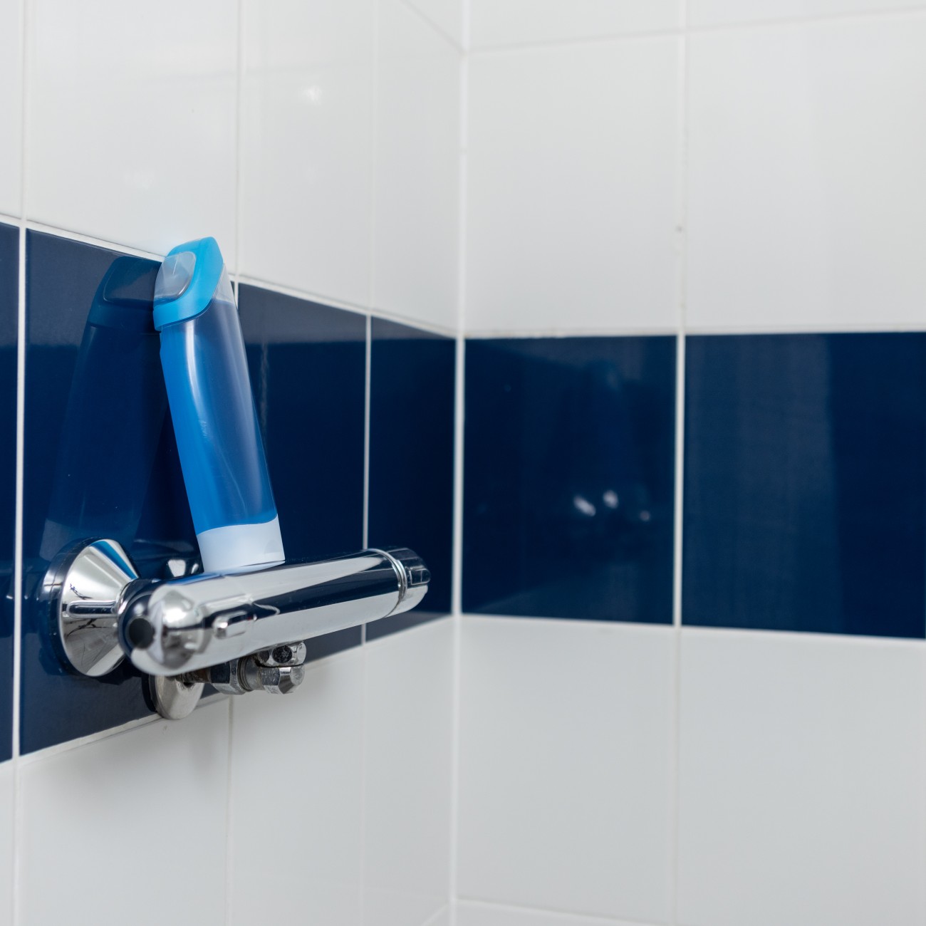  برونز اونسويت  -  نيو بورت ستيودنت فاليدج  - Gallery -  5