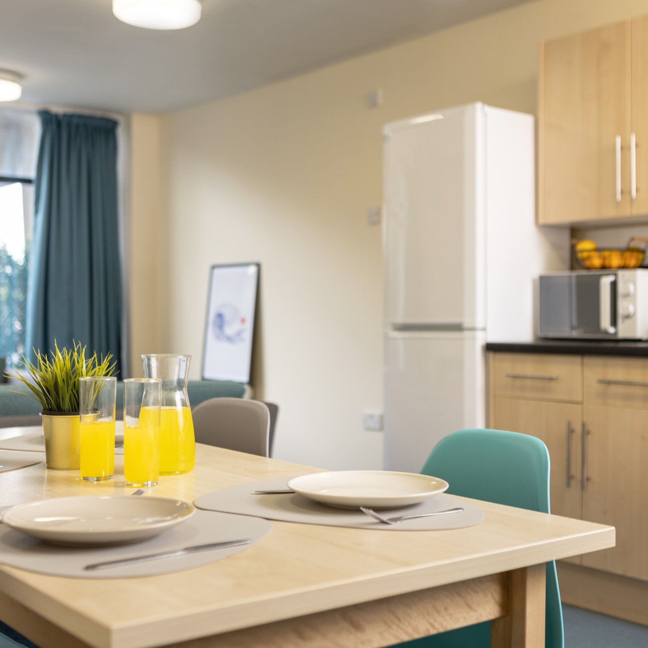  برونز اونسويت  -  نيو بورت ستيودنت فاليدج  - Gallery -  3