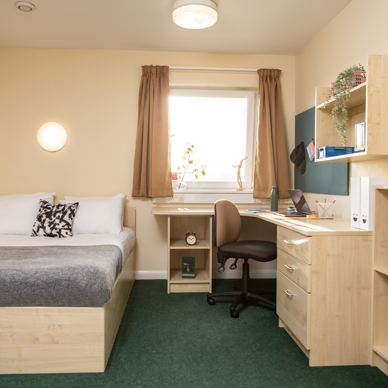  جولد اونسويت  -  نيو بورت ستيودنت فاليدج  - Gallery -  5