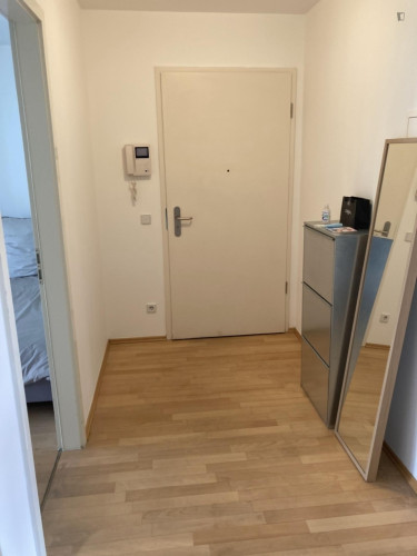 Modern 2 bedroom apartment in Mitte