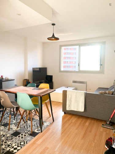 Welcoming double bedroom in Villeurbanne