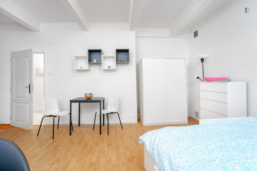 Large studio in Jezerka