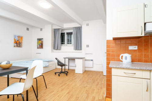 Large studio in Jezerka  - Gallery -  5