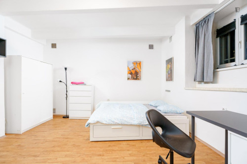 Large studio in Jezerka