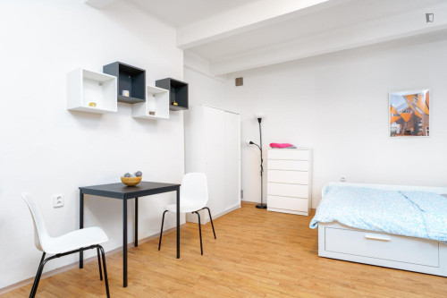 Large studio in Jezerka