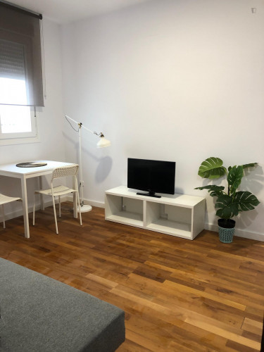 APARTMENT IN ARGUELLES