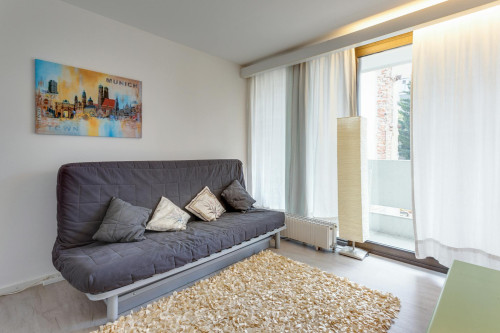 Amalienstraße, Munich