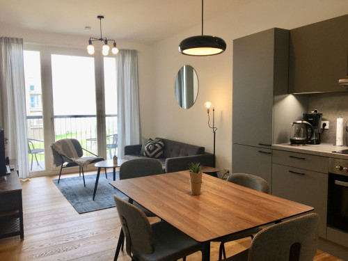 Fashionable apartment in Prenzlauer Berg