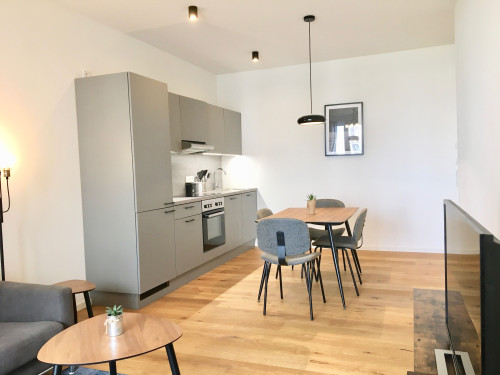 Fashionable apartment in Prenzlauer Berg