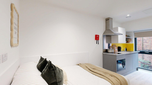 Medici - Gallery - 72