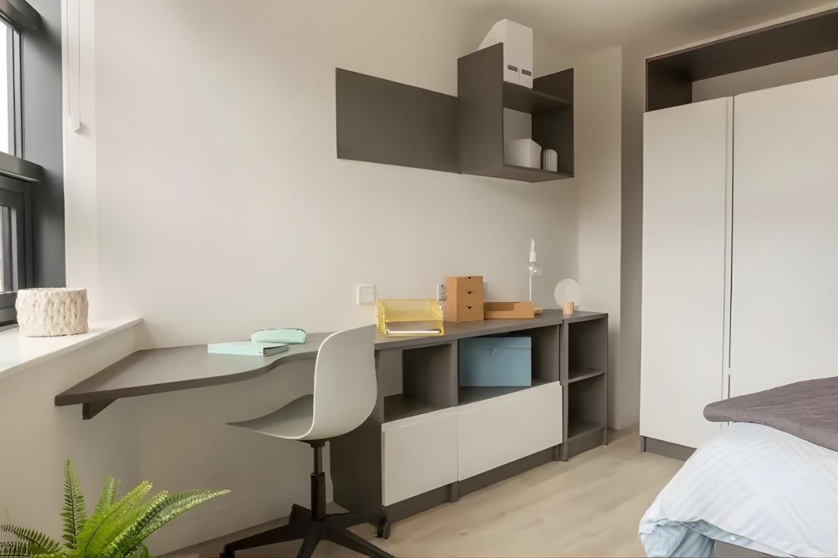  Premium Studio  -  Medici  - Gallery -  10
