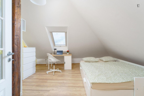 Cosy double bedroom in Jezerka