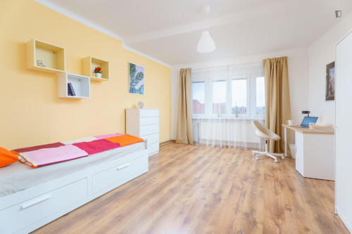 Sunny double bedroom in Jezerka