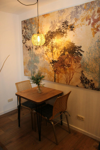 Pariser Straße, Bonn