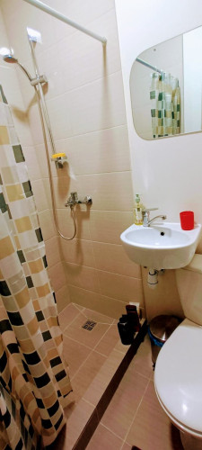 Tulpių gatvė, Kaunas