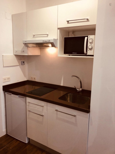 Studio near Puente Romano