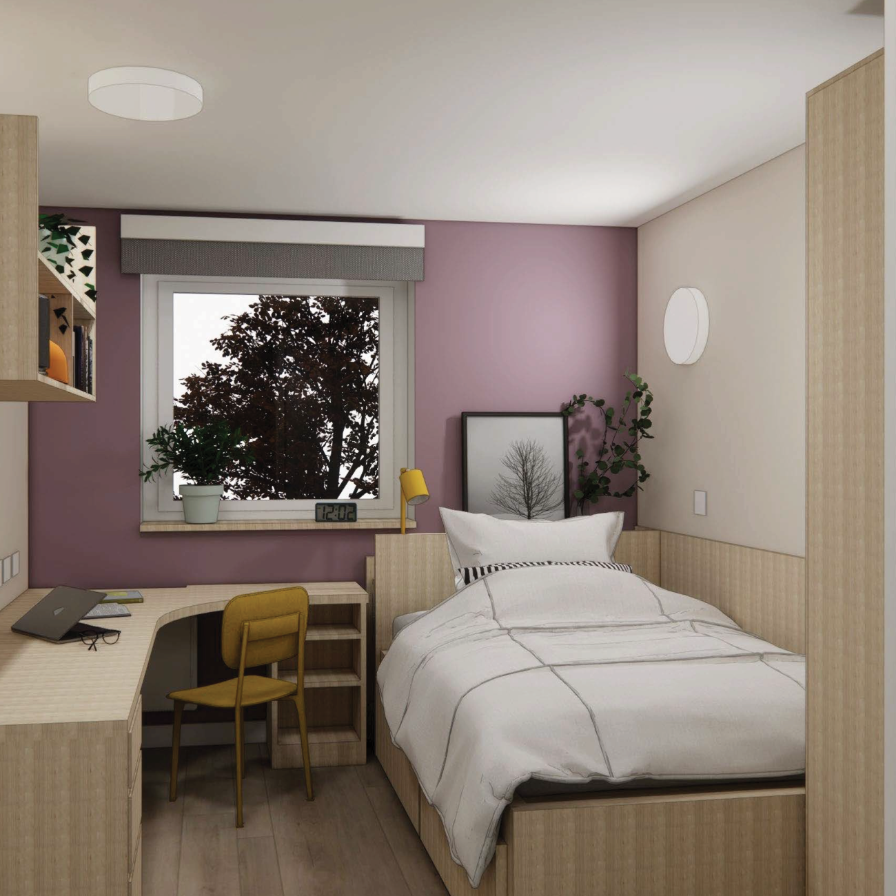  Gold Plus  -  Belgrave View  - Gallery -  1