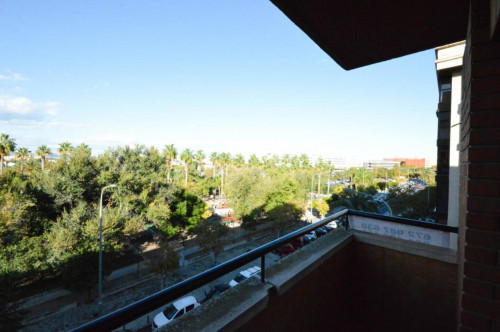 Cool double bedroom in a 3-bedroom apartment near Universitat de València