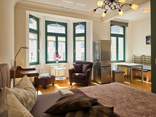 Stylish Art Nouveau Studio with Home Office & Garden in Leipzig