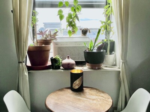 Cute Brooklyn apt near Subway/cafes