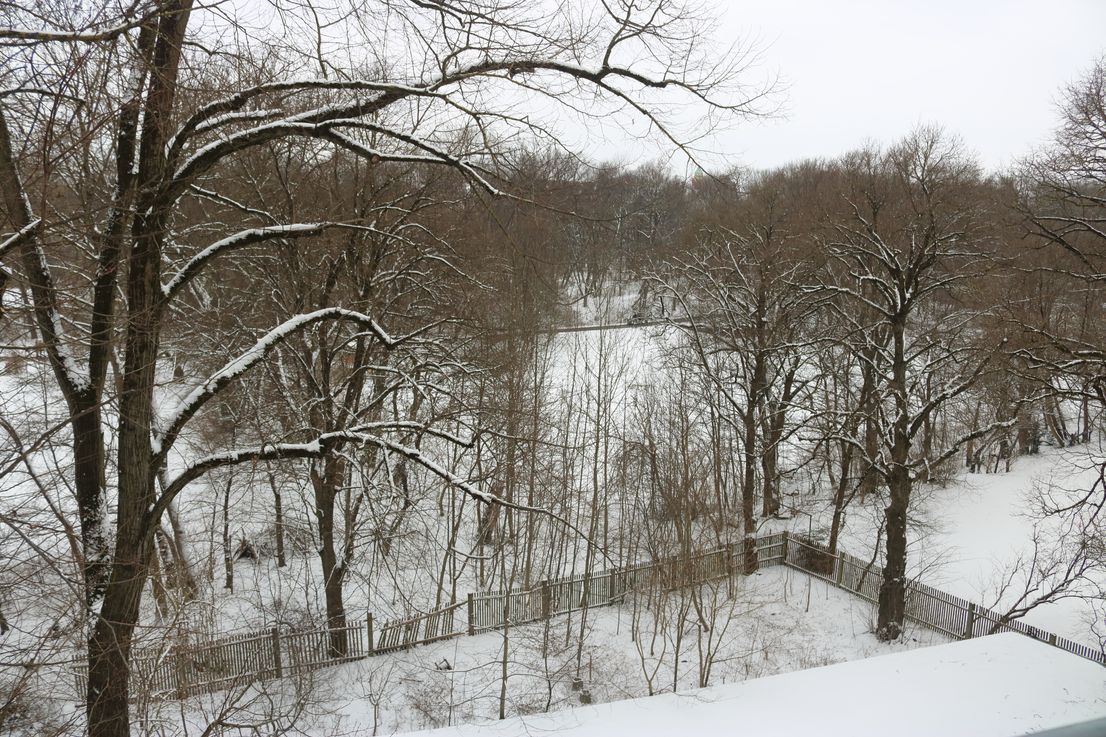 Fully Furnished Apartment At Pasinger Stadtpark - 1