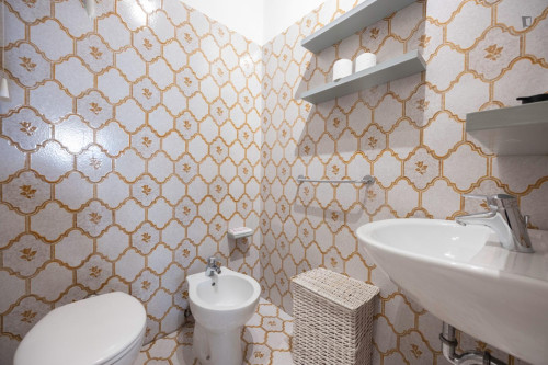 Luminious studio in the centre of Bologna