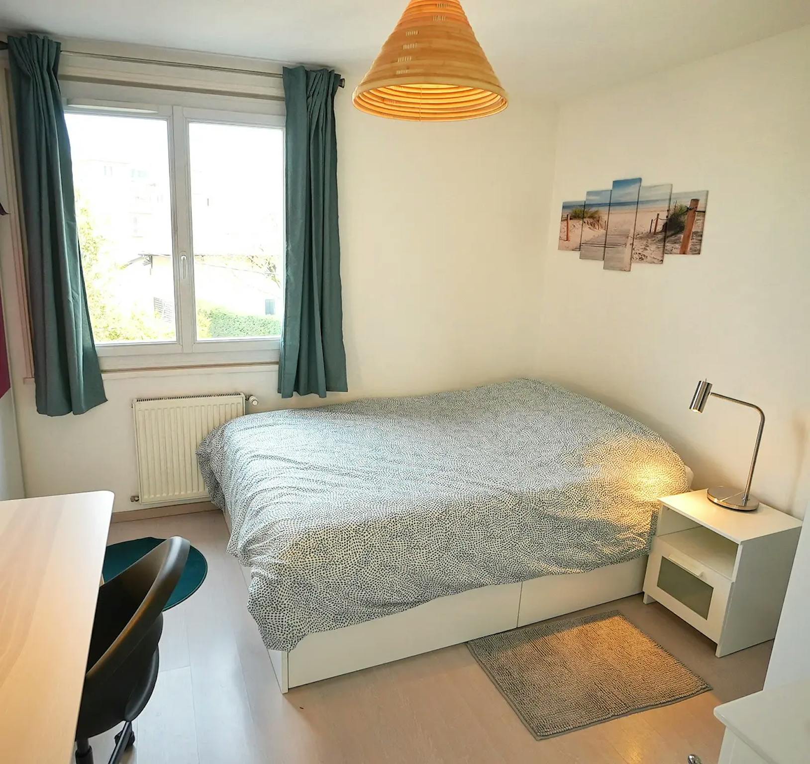  Private Room  -  Rue du Saget, Annemasse  - Gallery -  2