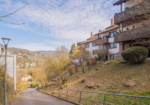 Charming, 2,5 Room Atelier-Apartment in Heidelberg with a view.