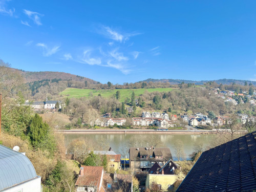 Charming, 2,5 Room Atelier-Apartment in Heidelberg with a view.