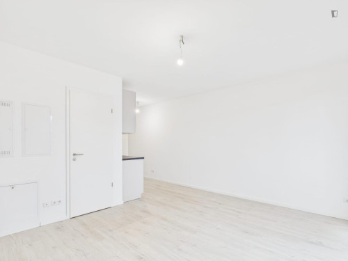 Unfurnished Sunlit Studio with Private Balcony in Lichtenberg
