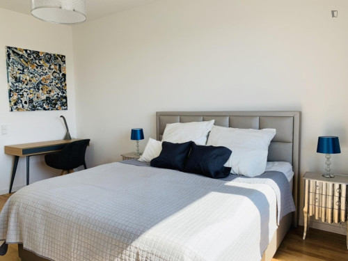 Bright 2 bedroom apartment in Tiergarten