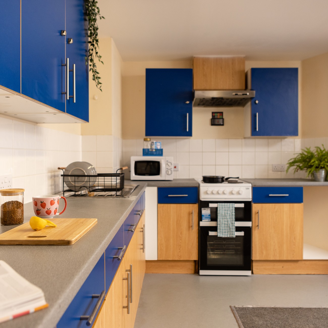  ستاندرد اونسويت  -  شيسل هاوس  - Gallery -  2