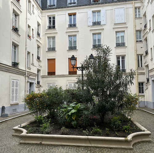 Nice & great apartment