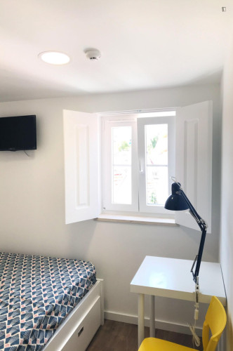 Neat studio in trendy Alta Universitária