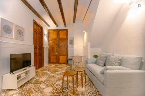 1-bedroom apartment, with outdoor area