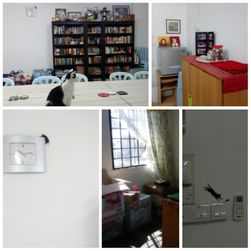 Farm house among rubber trees