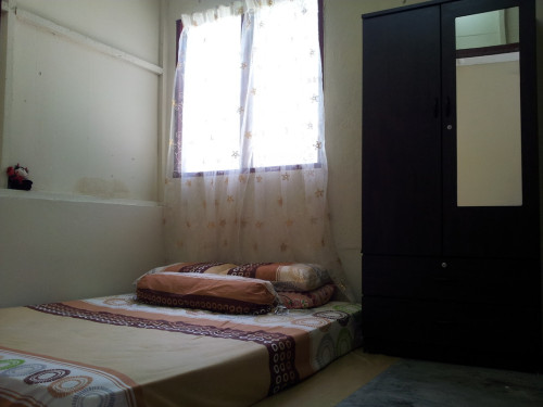 Farm house among rubber trees  - Gallery -  5