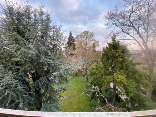 Fantastic & cute flat located in Freiburg im Breisgau - Gallery - 3