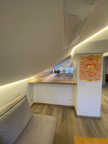 Fantastic & cute flat located in Freiburg im Breisgau - Gallery - 2