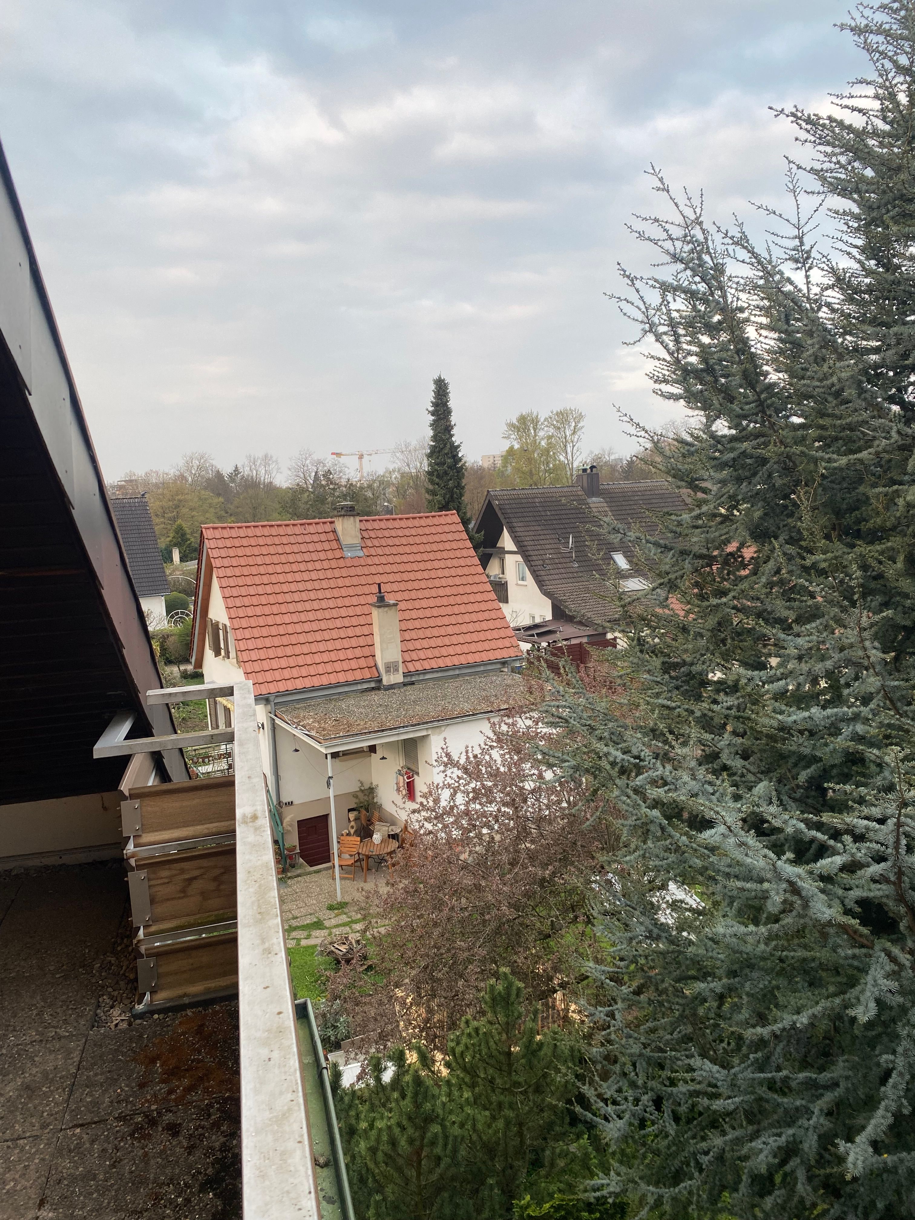 Fantastic & Cute Flat Located In Freiburg Im Breisgau - 3