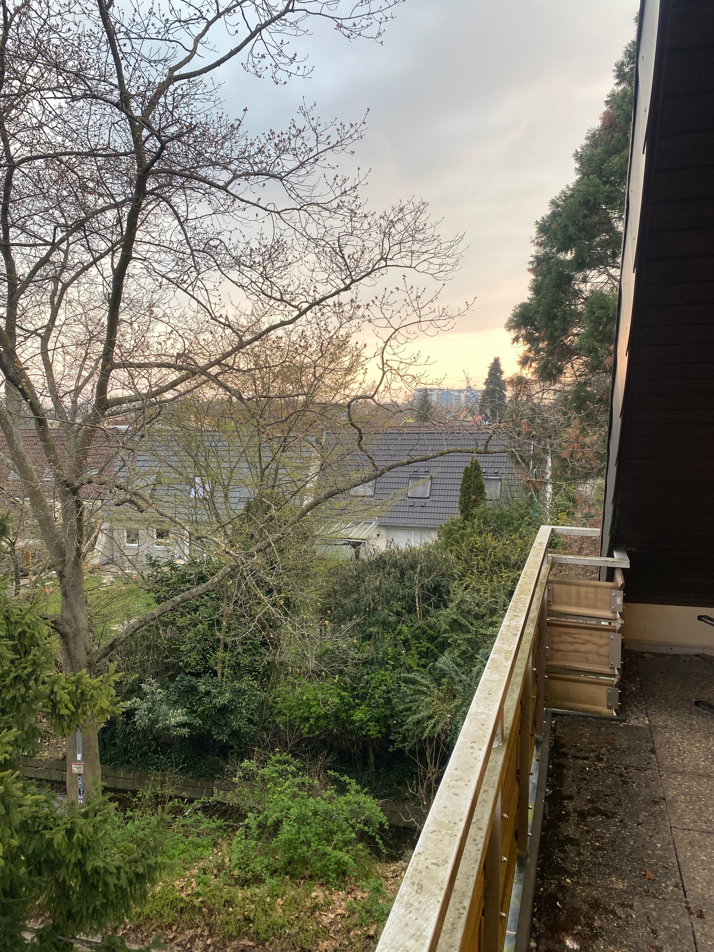 Fantastic & Cute Flat Located In Freiburg Im Breisgau - 4