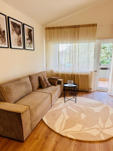 Spacious apartment in Heidelberg