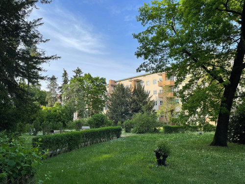 2 rooms in Berlin-Pankow to feel good, relaxe and work (with balcony)