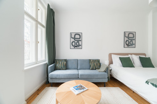 Stunning Studio in Moabit
