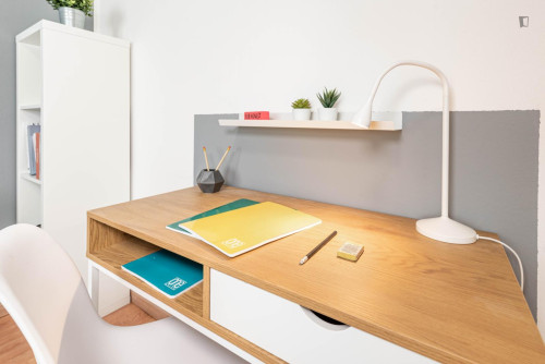 Bright single bedroom in Padua